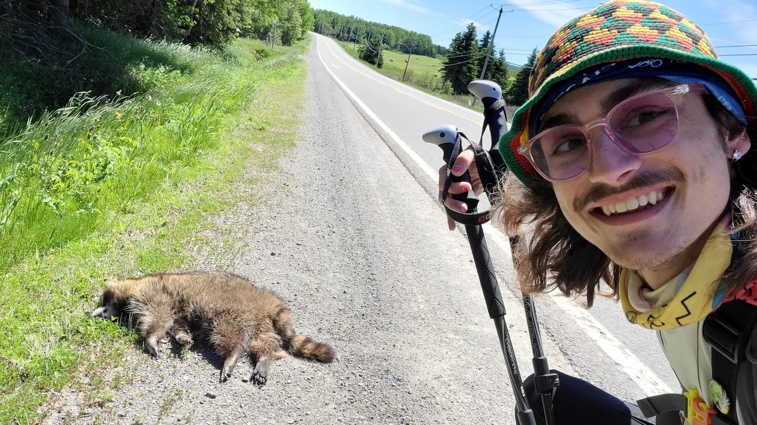 Paysage1 - Roadkills_Gabriel Samson I