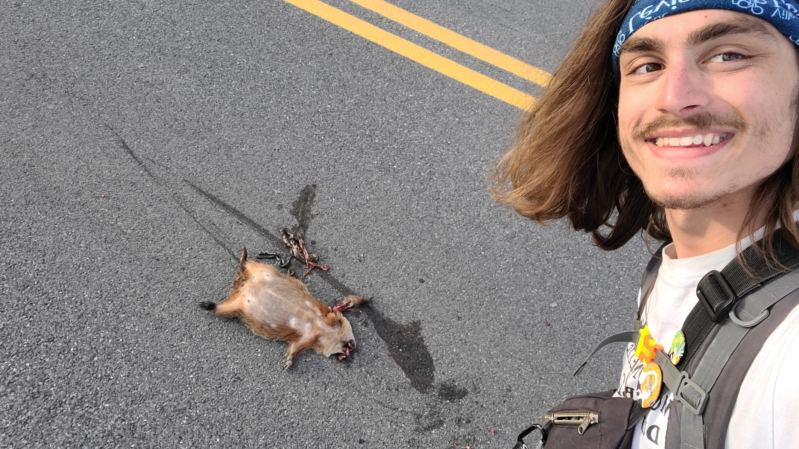 Paysage11 - Roadkills_Gabriel Samson I