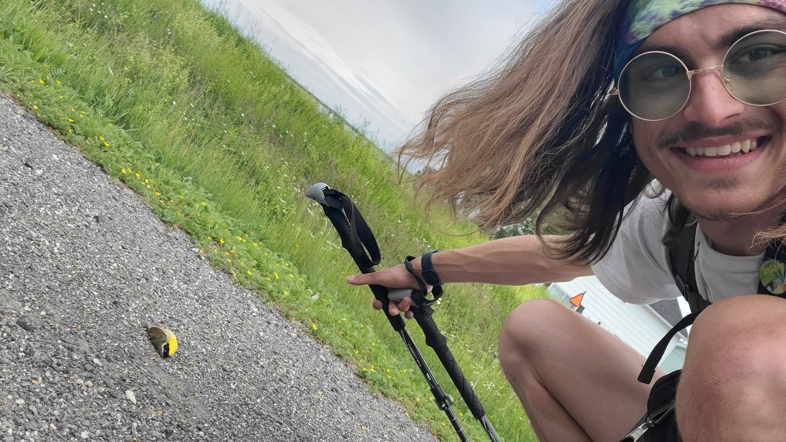 Paysage3 - Roadkills_Gabriel Samson I