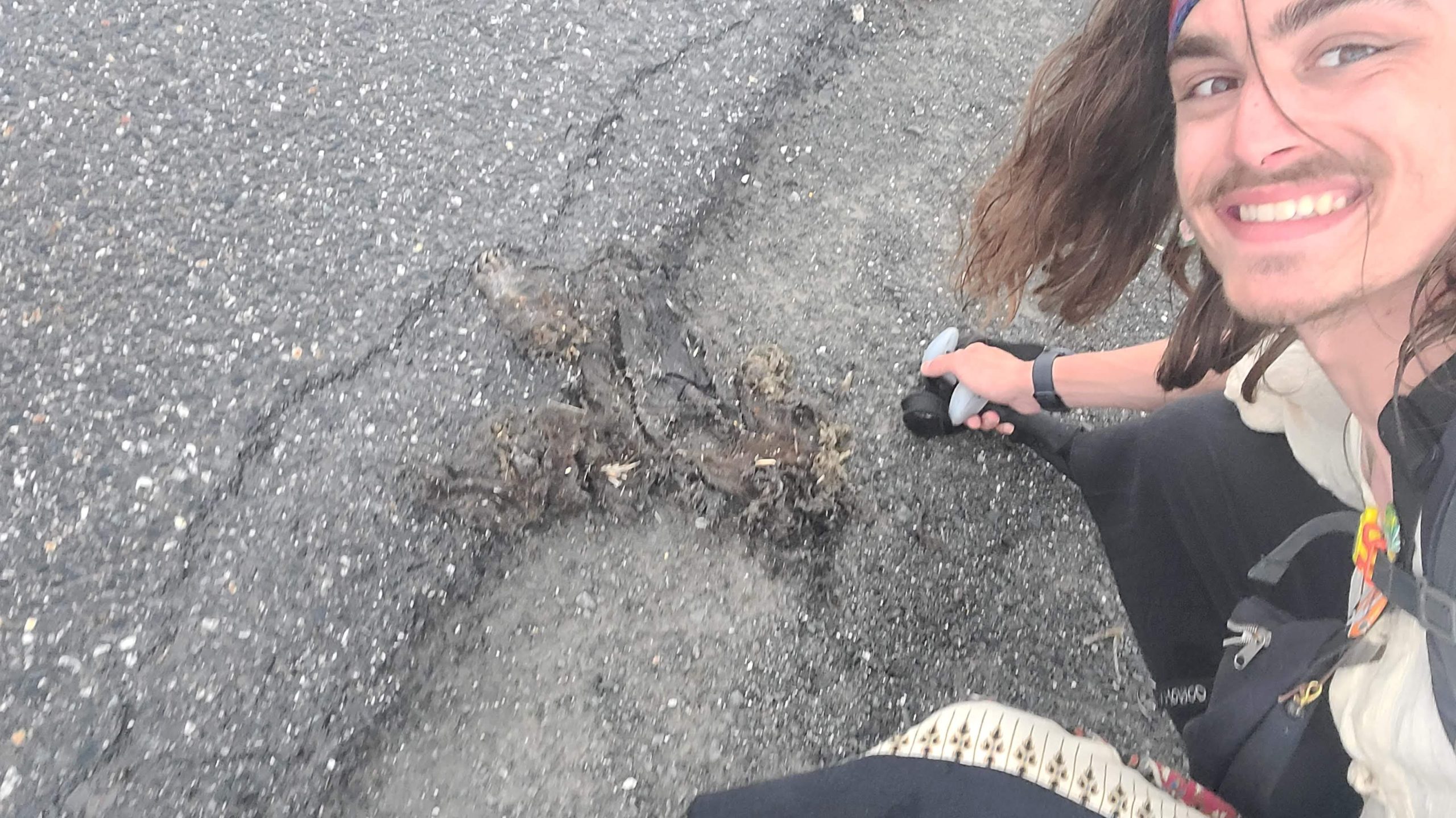 Paysage4 - Roadkills_Gabriel Samson I