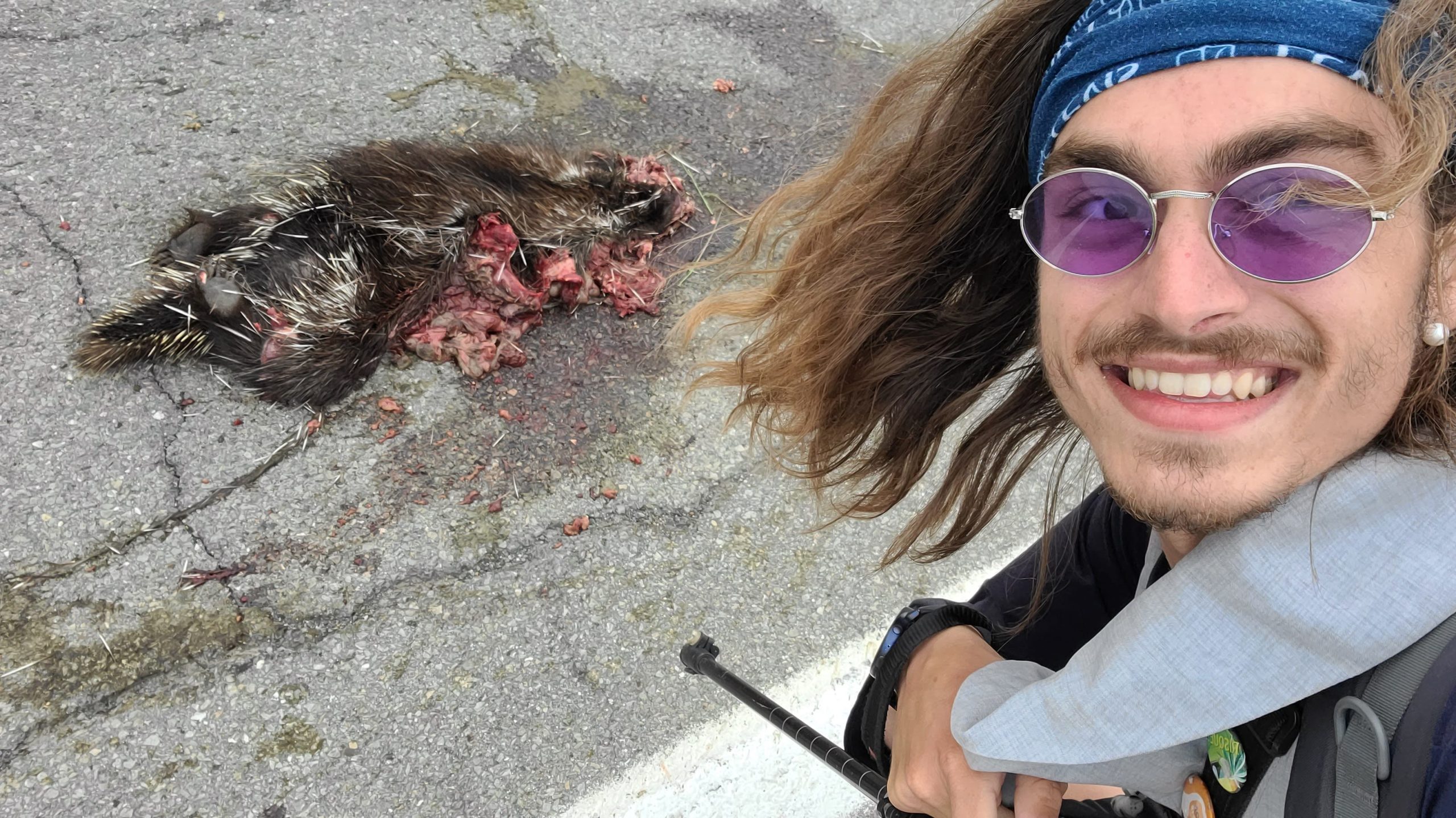 Paysage8 - Roadkills_Gabriel Samson I