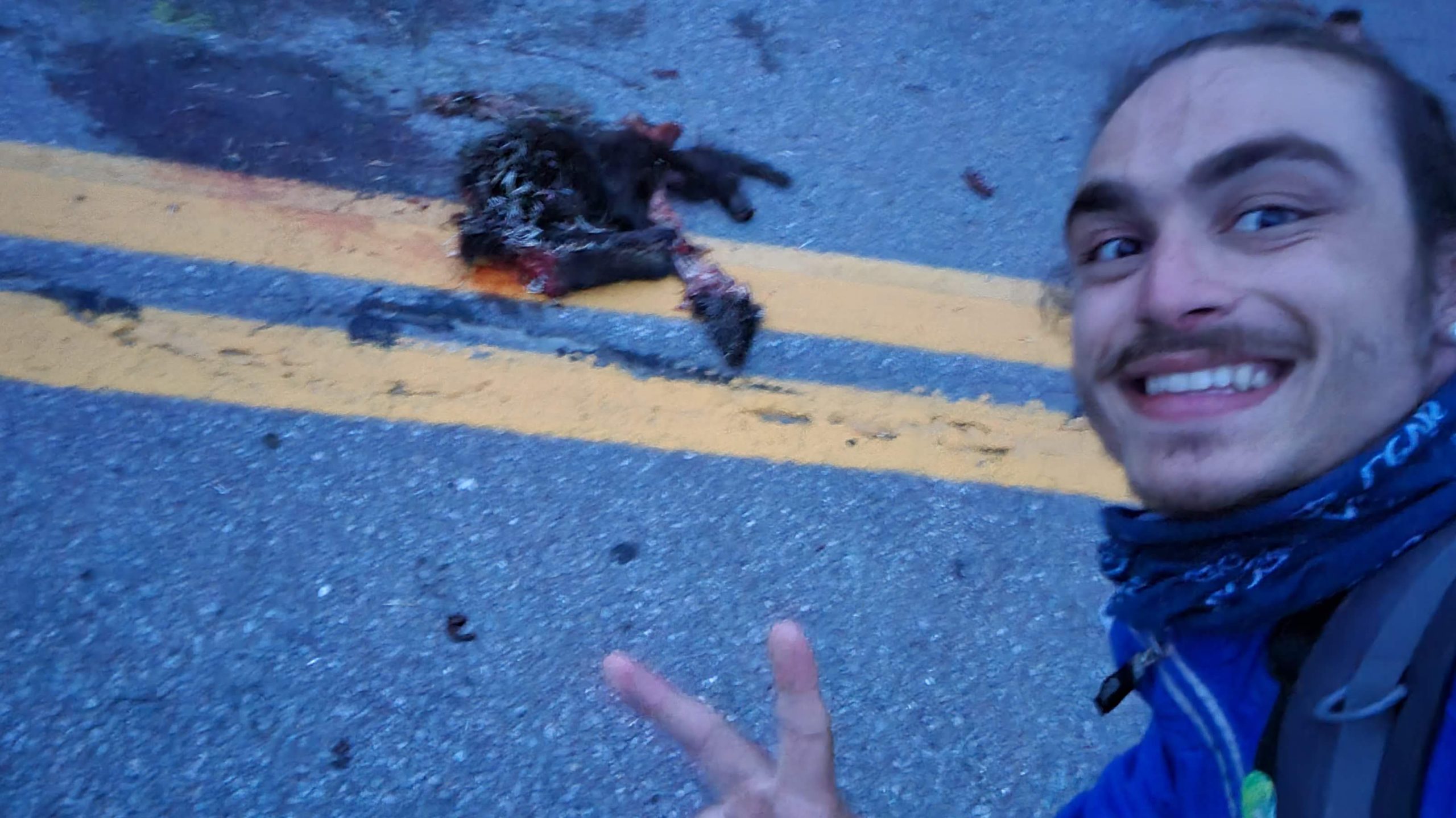 Paysage9 - Roadkills_Gabriel Samson I